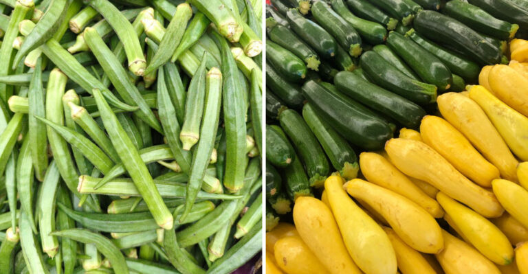 Arkansas Gardeners Should Stock Their Garden With These 8 Affordable Picks