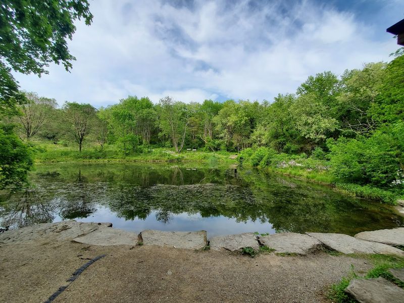 Audubon Center For Native Plants Helps The West