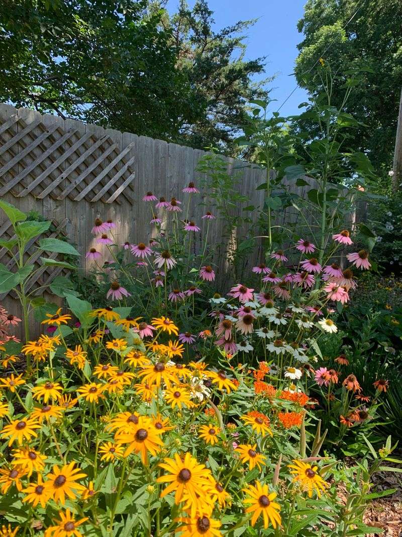 August Rain Can Expose Soil Again August Rain Can Expose Soil Again