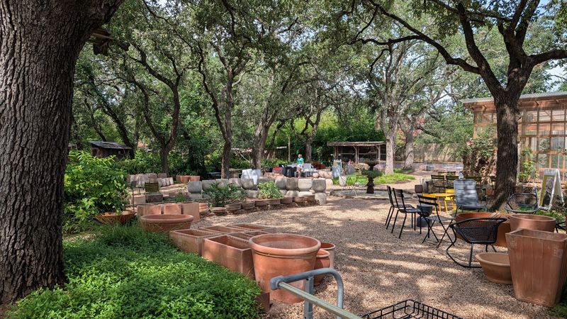 Austin's Barton Springs Nursery Stocks Central Texas Natives