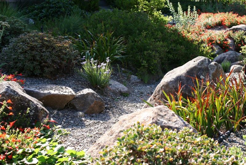 Avoid Continuous Vegetation Leading Toward The Home Avoid Continuous Vegetation Leading Toward The Home
