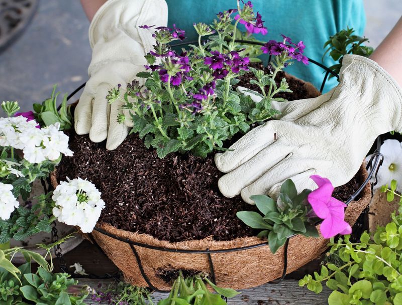 Avoid Crowding Too Many Thirsty Plants Avoid Crowding Too Many Thirsty Plants