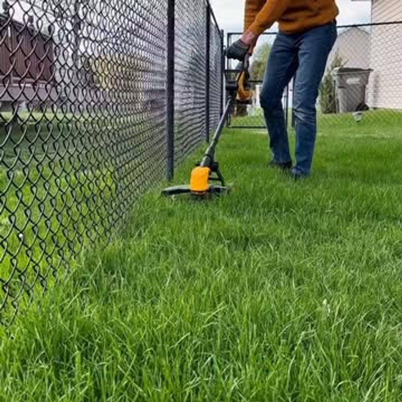 Avoid Cutting Right Against The Bark Avoid Cutting Right Against The Bark