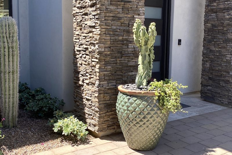 Avoid Midday Watering During Extreme Heat Avoid Midday Watering During Extreme Heat