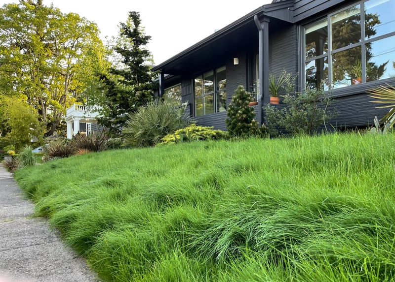 Avoid Mowing Every Part Of The Yard