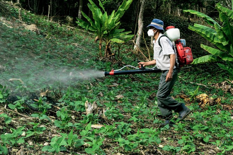 Avoid Pesticides That Harm Fireflies And Their Prey Avoid Pesticides That Harm Fireflies And Their Prey