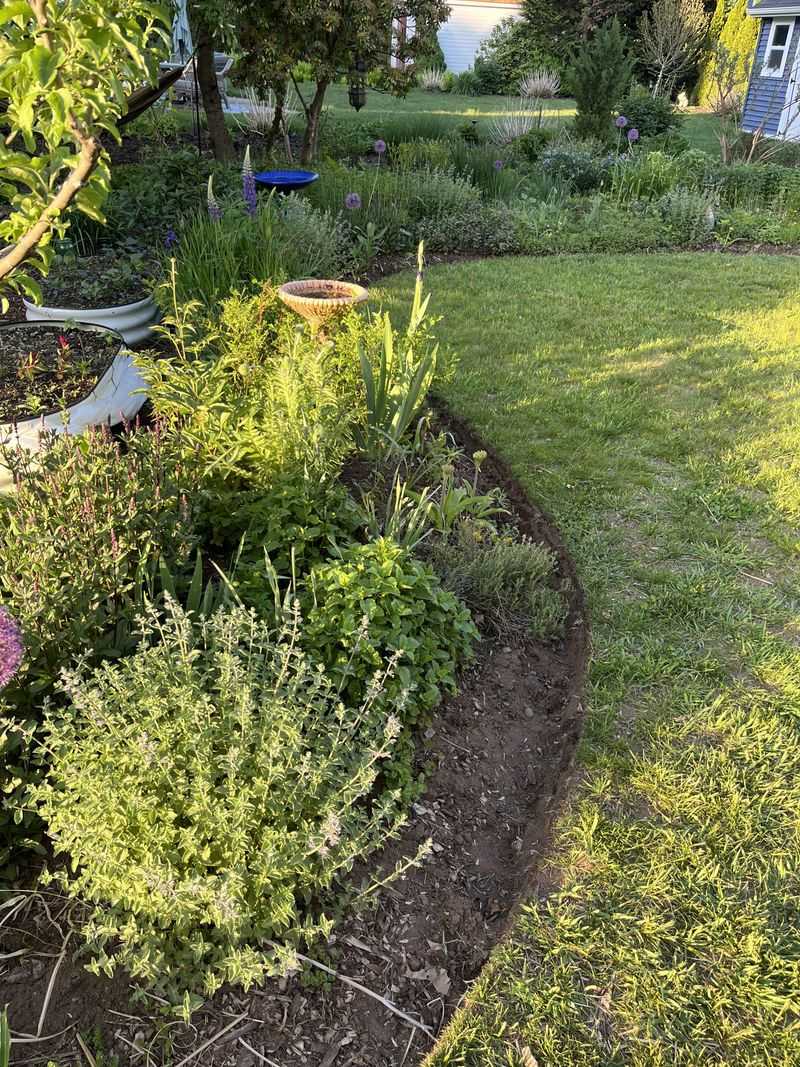 Avoid Sealing Every Rural Edge Too Tightly