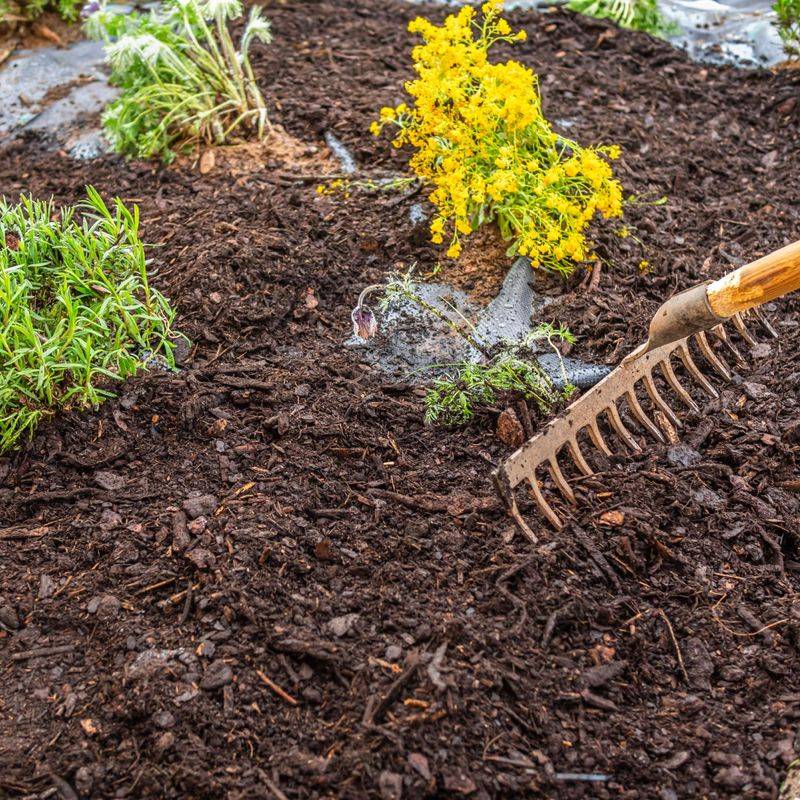Avoid Thick Mulch Around Garden Beds