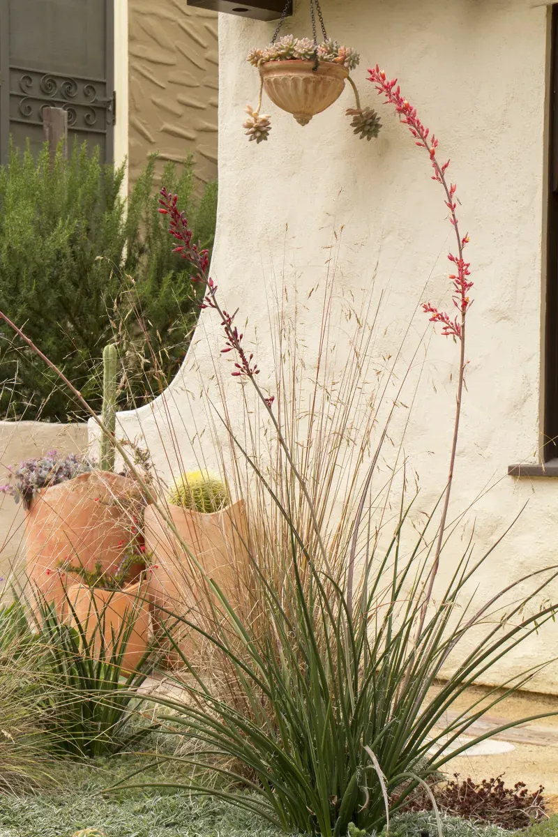 Avoid Too Much Nitrogen Fertilizer