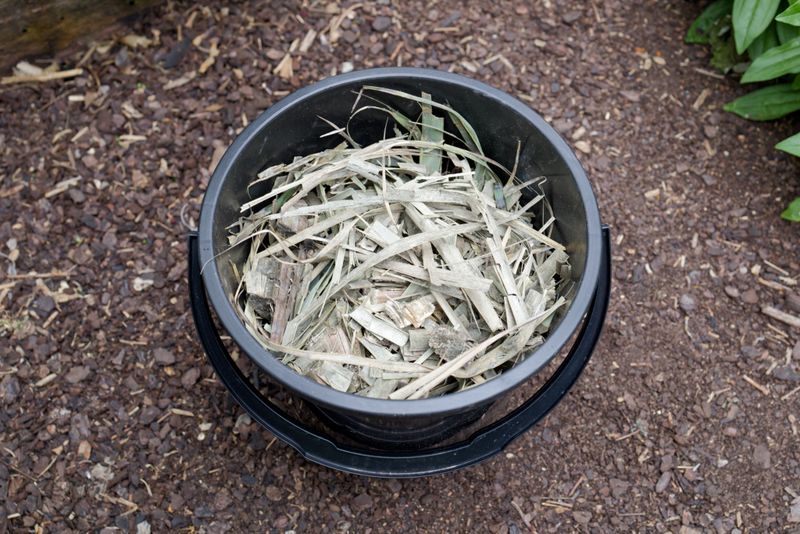 Avoid Using Palm Fronds As Mulch Avoid Using Palm Fronds As Mulch
