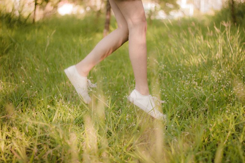 Avoid Walking On Grass Midday Avoid Walking On Grass Midday