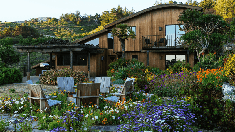 Avoid Woody Plants Against The House Avoid Woody Plants Against The House
