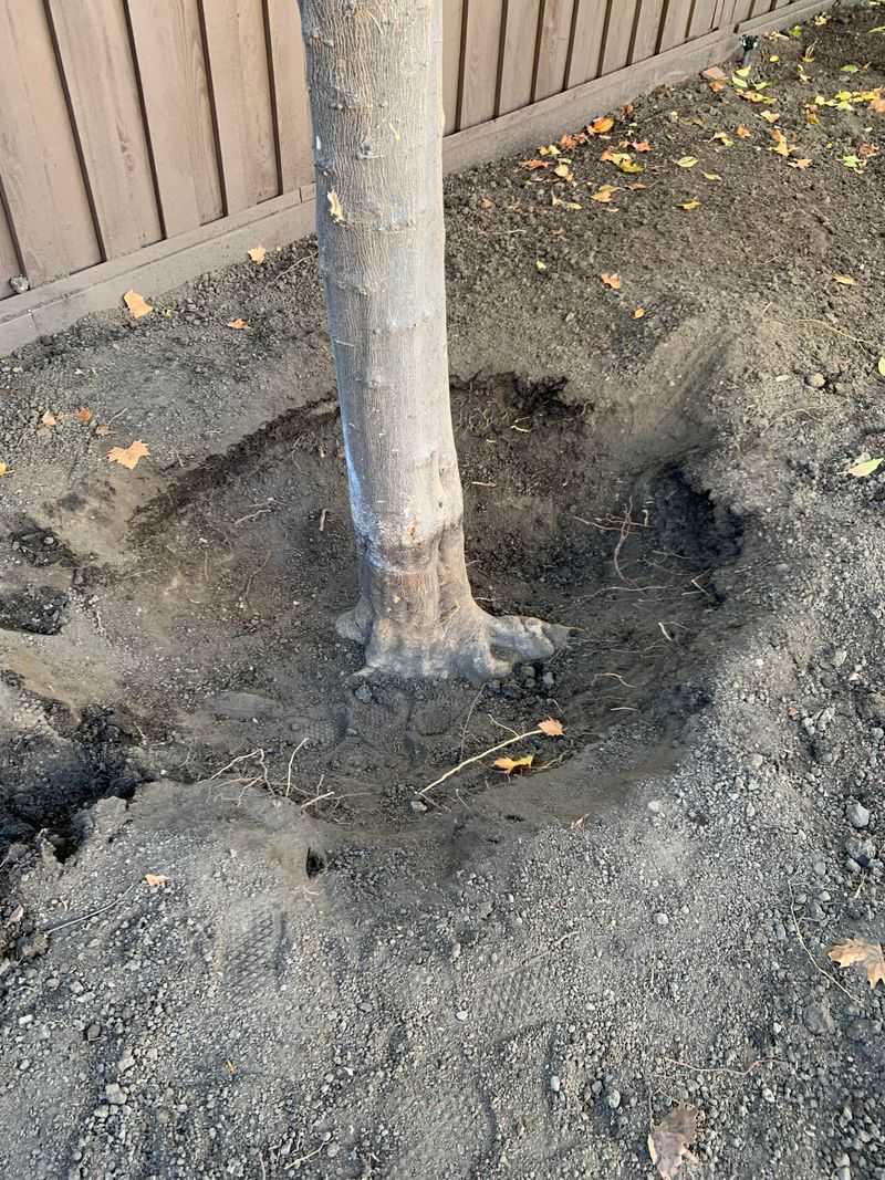 Backfill With A Mix Of Native And Amended Soil Backfill With A Mix Of Native And Amended Soil