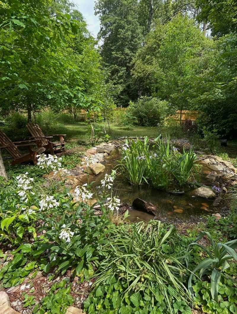 Backyard Habitat Helps Replace Lost Natural Spaces Backyard Habitat Helps Replace Lost Natural Spaces