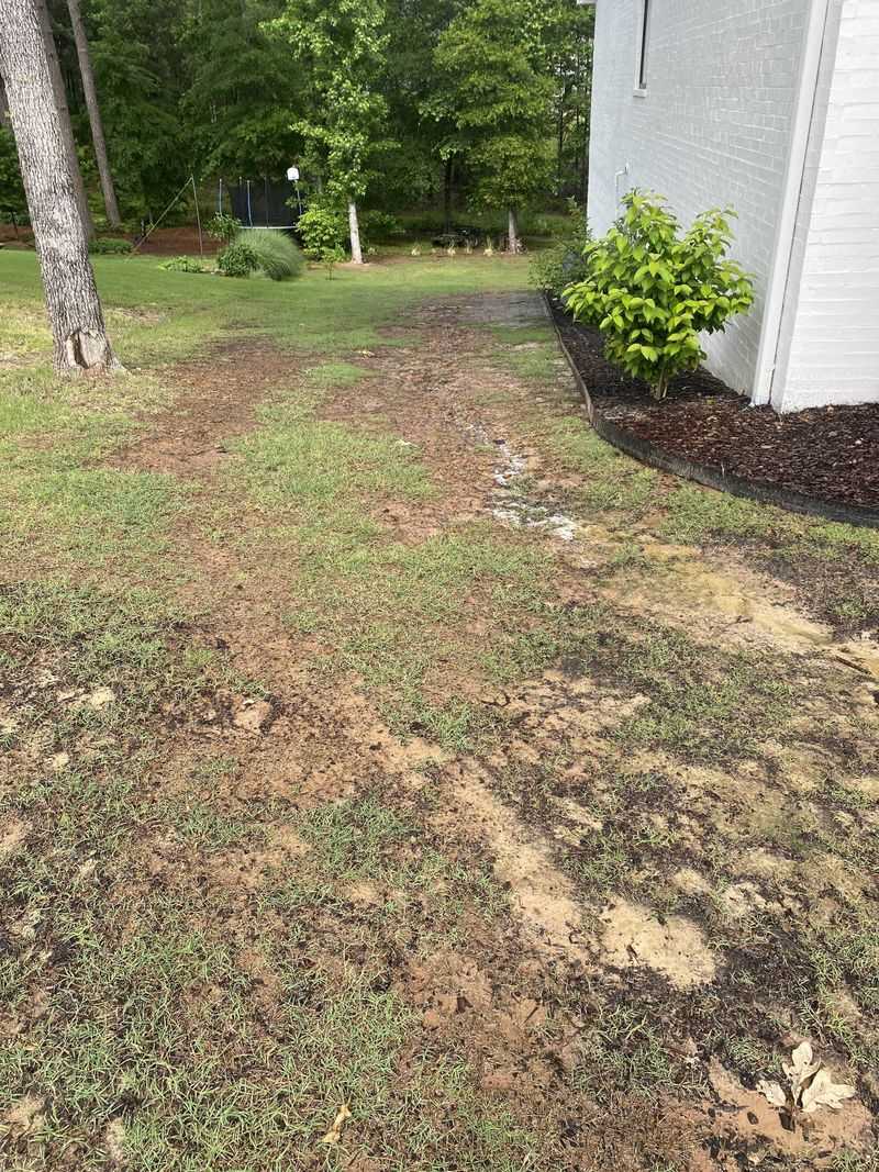 Bare Grass Looks Worse Than Living Cover