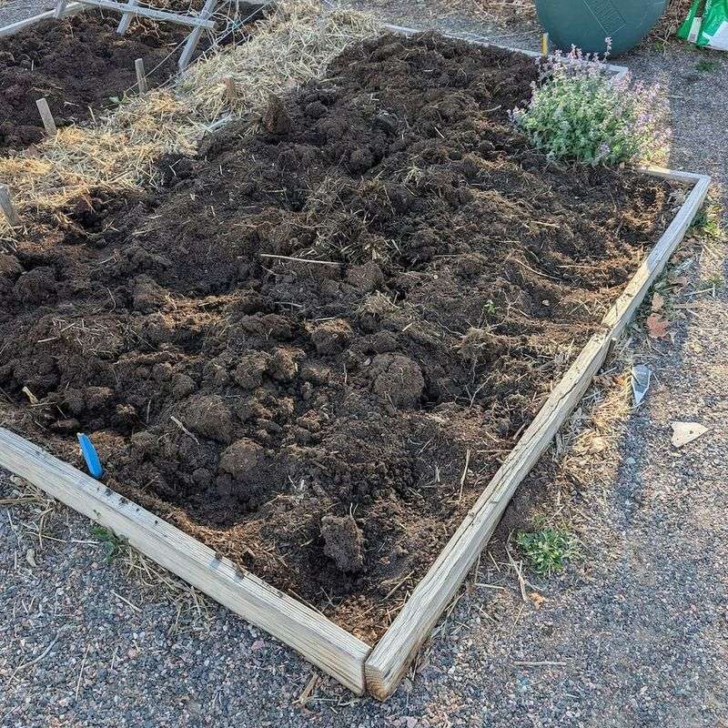 Bare Soil Can Make The Bed Less Inviting