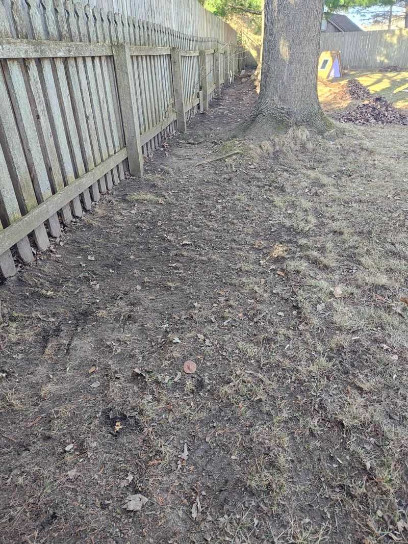 Bare Soil Loses Moisture Faster After The Storm