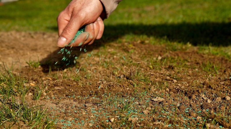 Bare Soil Needs Seed Before Weeds Move In