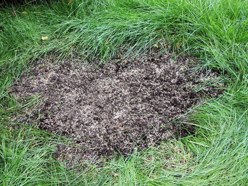 Bare Soil Washes Away Faster During Heavy Rain