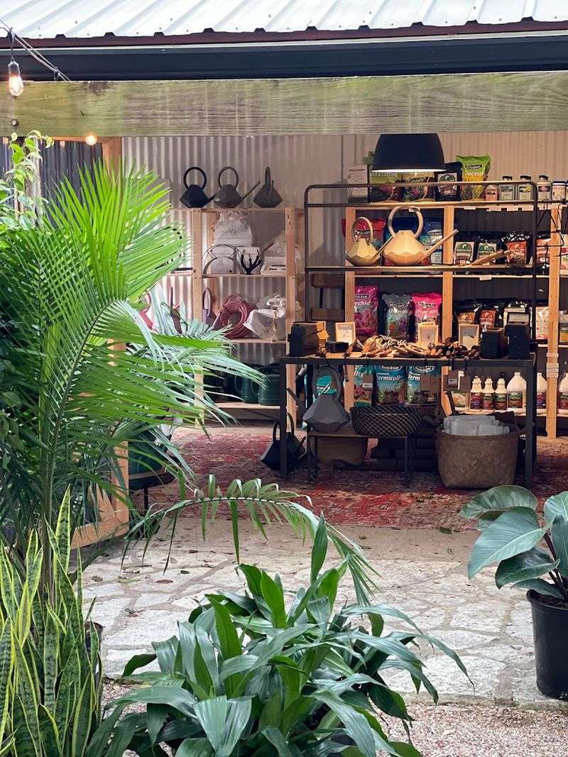 Barton Springs Nursery - Austin Barton Springs Nursery - Austin