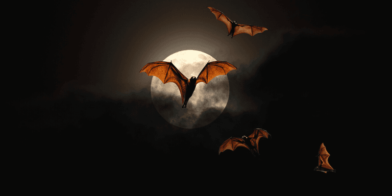 Bats Eat Mosquitoes, But They Will Not Empty Your Yard Bats Eat Mosquitoes, But They Will Not Empty Your Yard