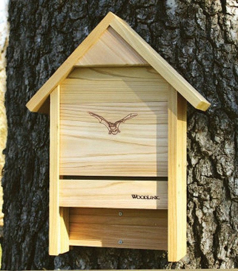 Bats Help Reduce Flying Insect Activity