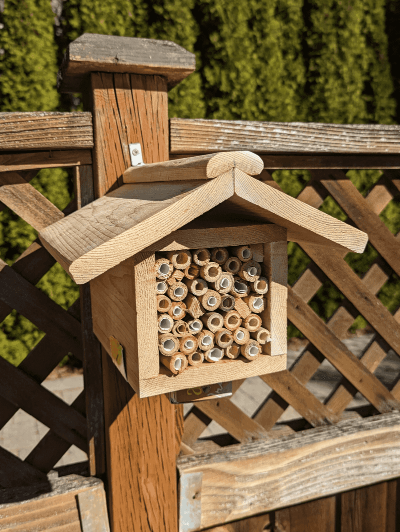 Bee Houses Need The Right Distance Bee Houses Need The Right Distance