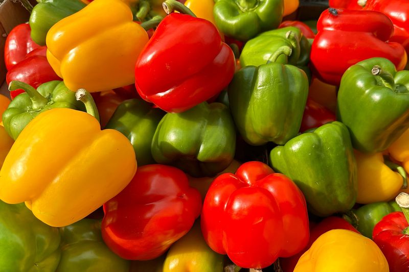 Bell Peppers Bell Peppers