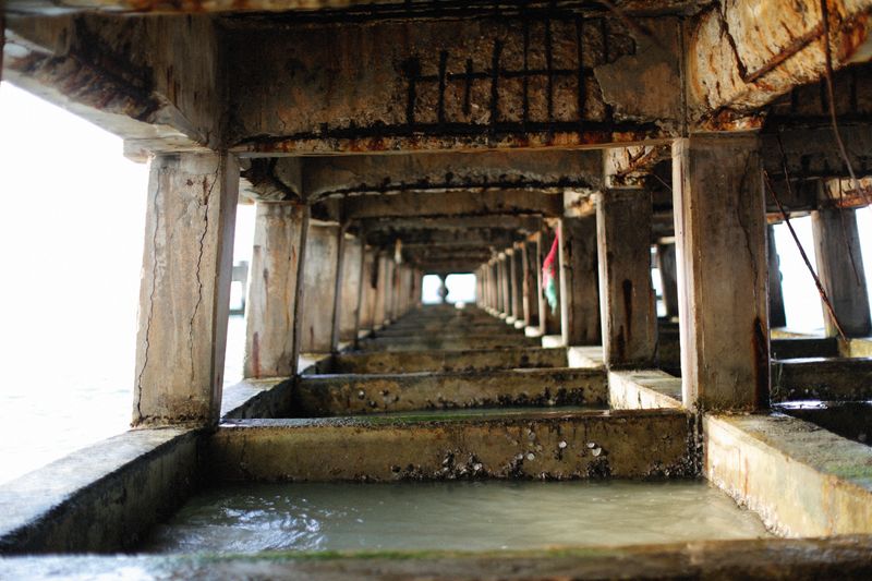 Beneath Decks Where Debris Collects Undisturbed Beneath Decks Where Debris Collects Undisturbed