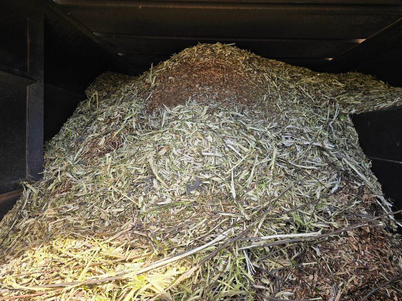 Best Mulch Types For Pennsylvania Trees Best Mulch Types For Pennsylvania Trees