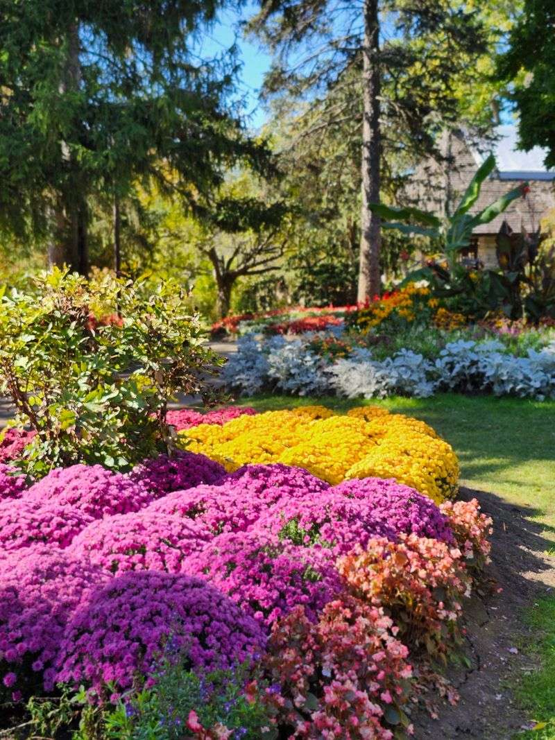 Best Time To Do This In Your Garden