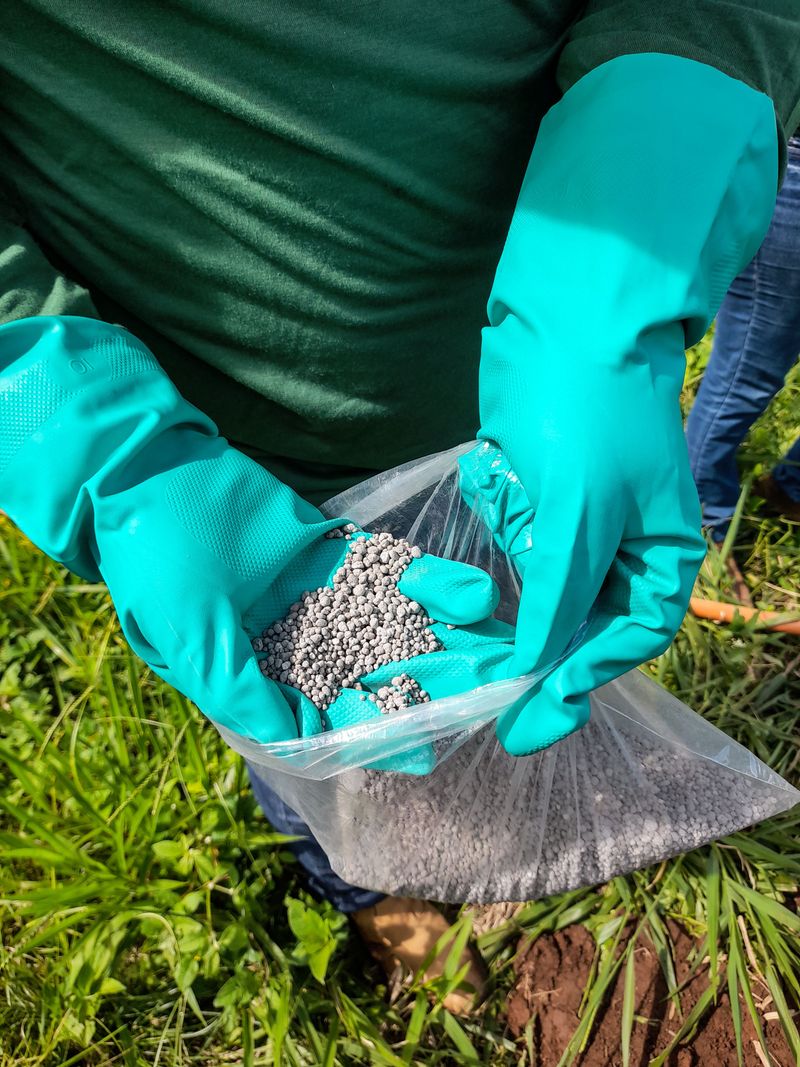 Best Time To Fertilize During Oregon Summers Best Time To Fertilize During Oregon Summers
