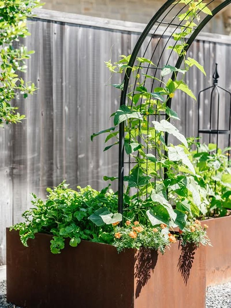 Better Airflow Helps Leaves Dry Faster