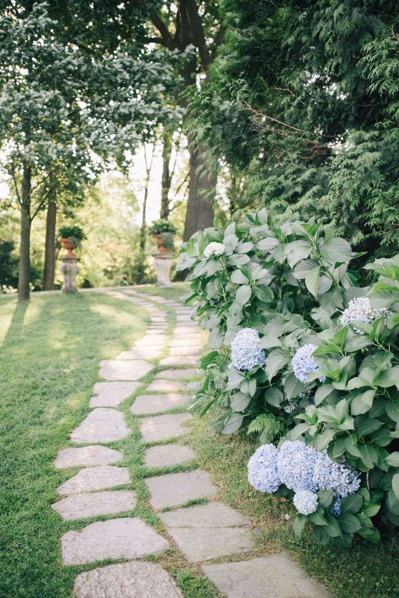 Better Spacing Solutions For Both Plants