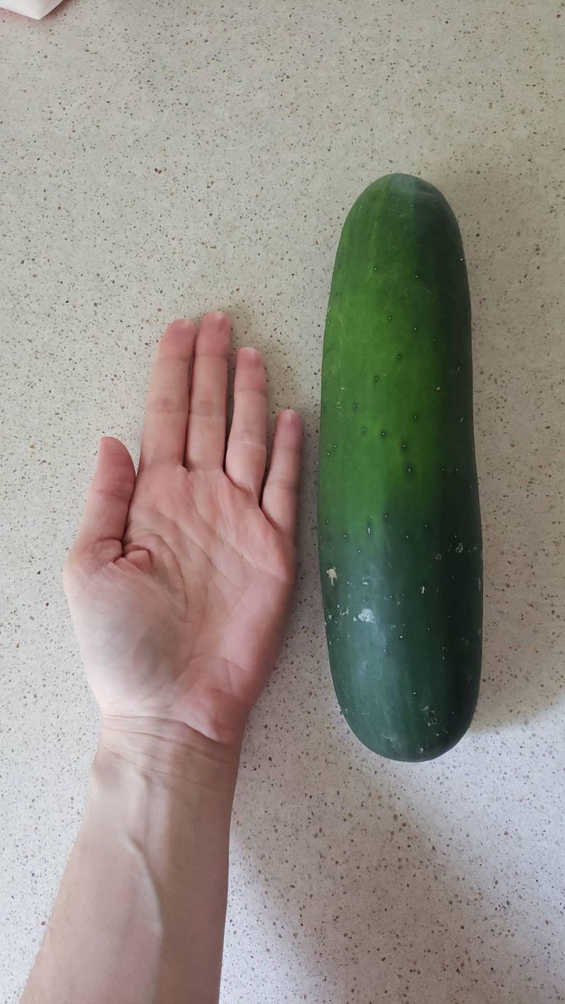 Big Cucumbers Are Usually The Bitter Ones