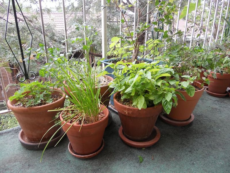 Bigger Pots Handle Heat Better Bigger Pots Handle Heat Better