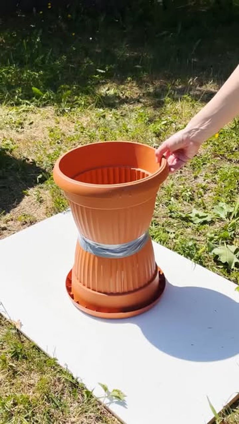 Bird Bath