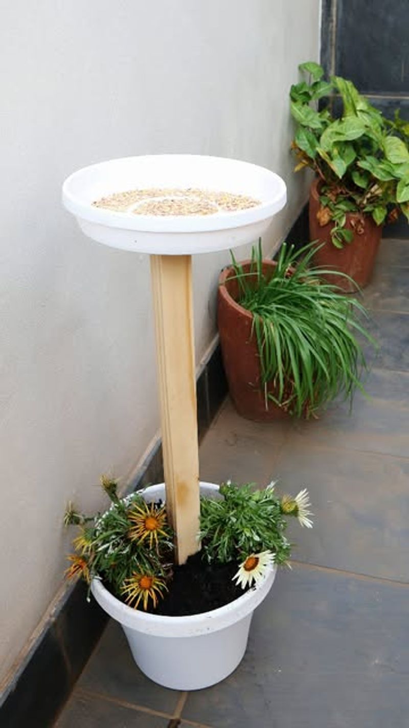 Bird Feeder