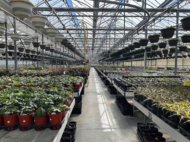 Black Creek Greenhouse - East Earl