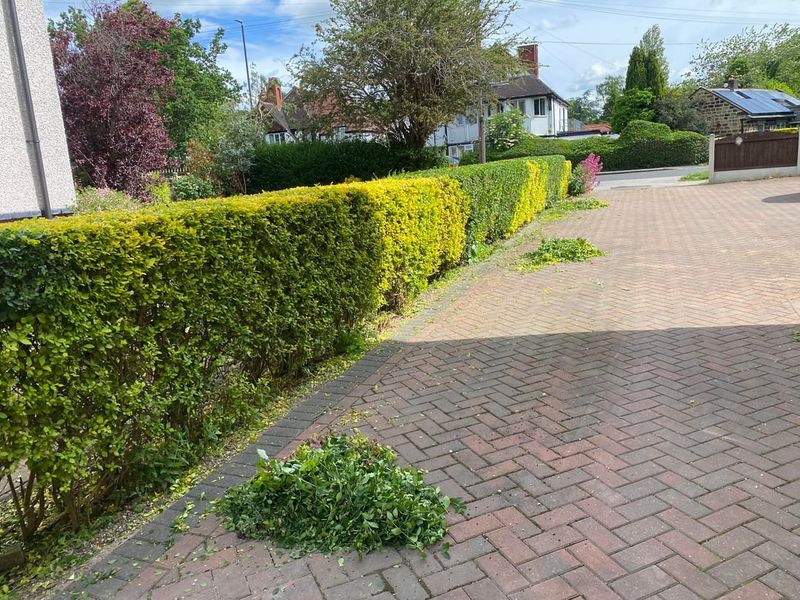 Blocking Sight Lines Near Driveways Blocking Sight Lines Near Driveways