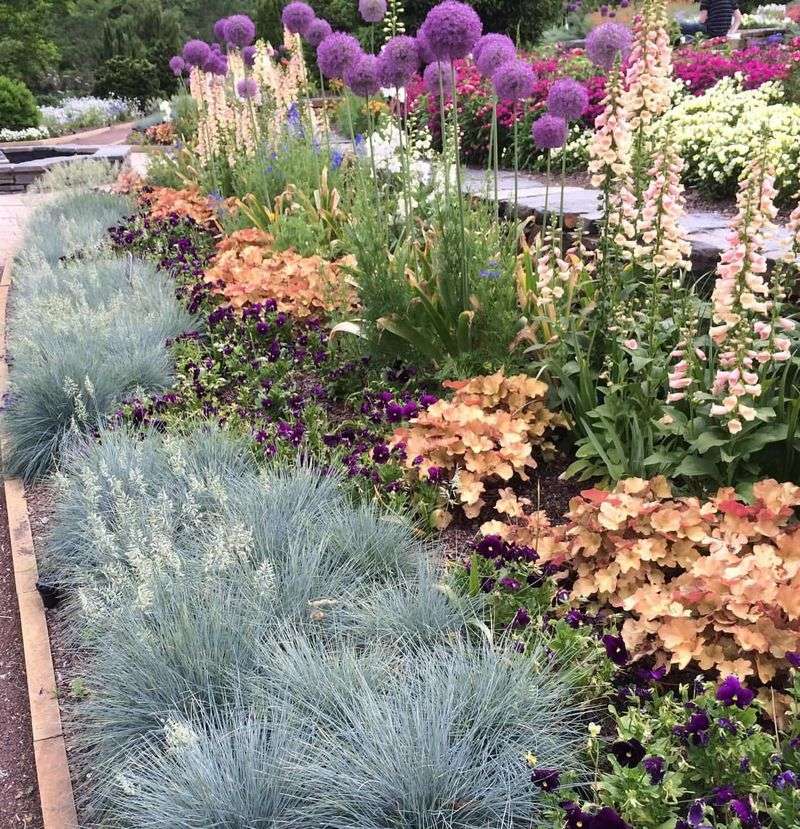 Blue Fescue Softens Hot Front Borders