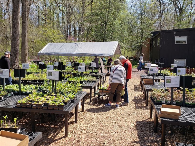 Bowman's Hill Wildflower Preserve Native Plant Nursery - New Hope Bowman's Hill Wildflower Preserve Native Plant Nursery - New Hope