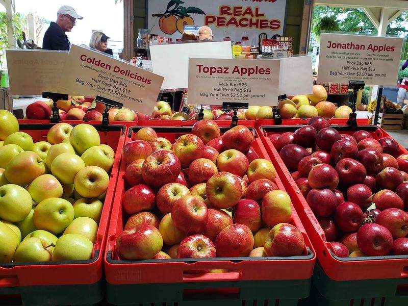 Branstool Orchards Branstool Orchards
