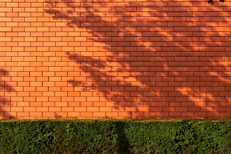 Brick Walls Absorb Heat During The Day And Release It Overnight Brick Walls Absorb Heat During The Day And Release It Overnight