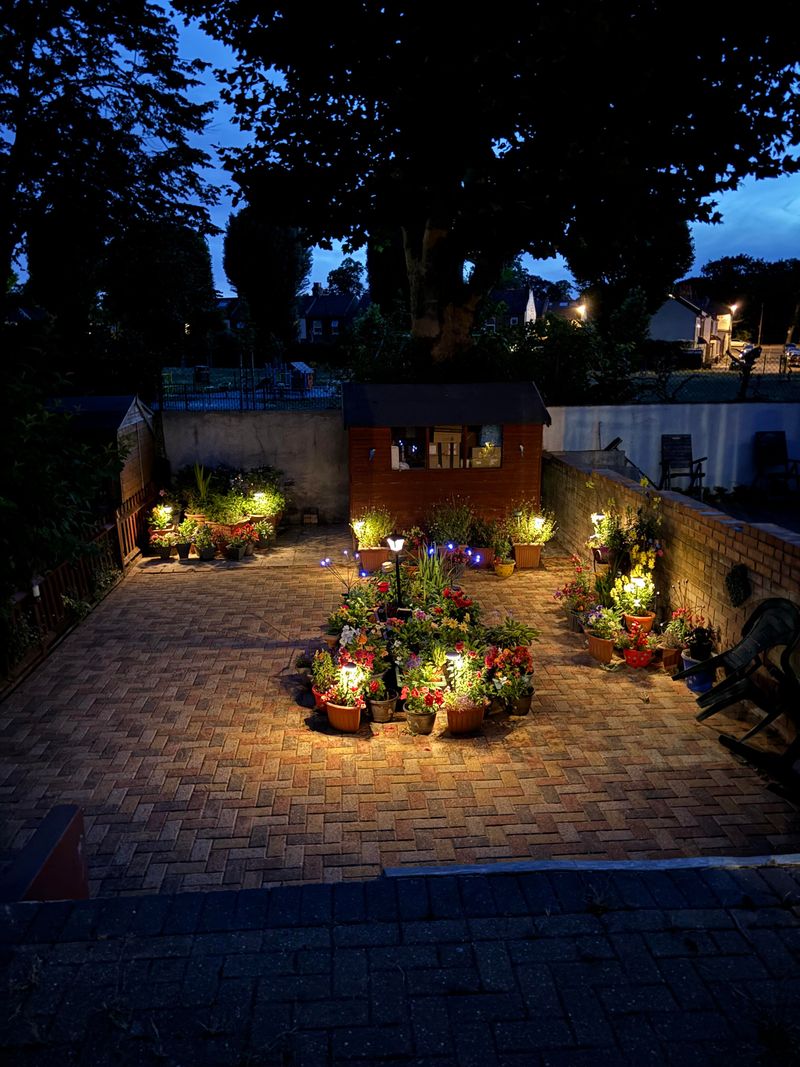 Bright Outdoor Lights Keep Fireflies Away