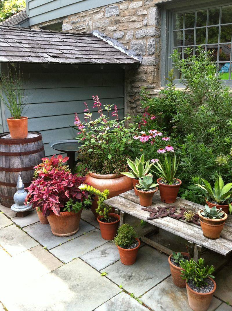 Bright Shade Helps Plants Adjust Bright Shade Helps Plants Adjust