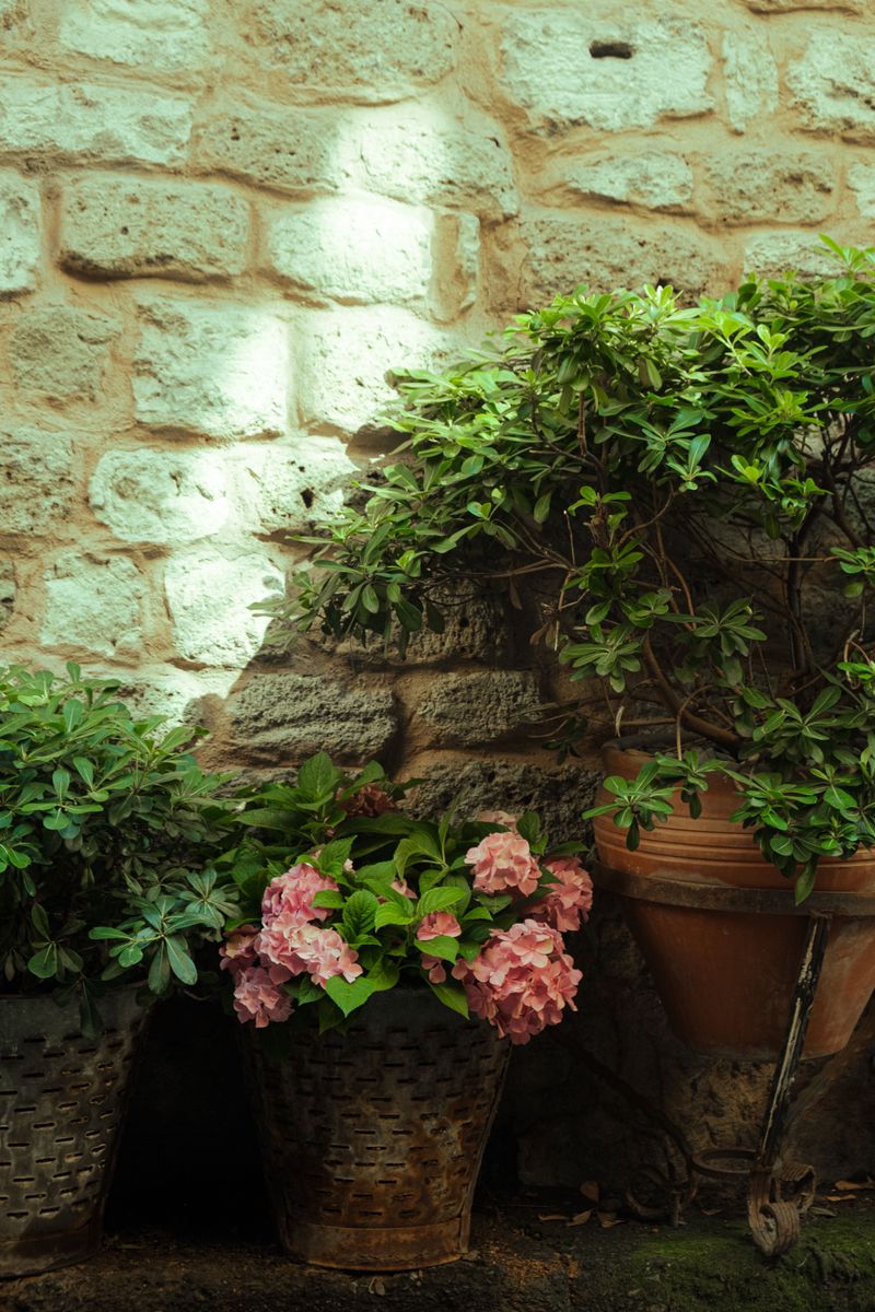 Bring Fragile Or Heat-Stressed Containers Closer To The House