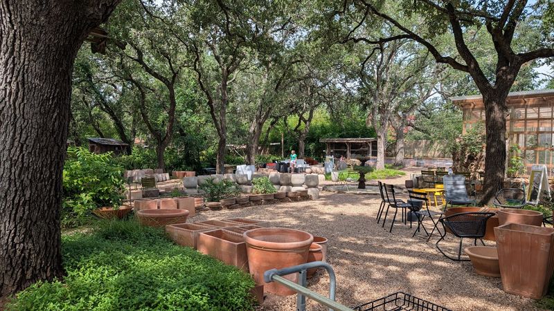 Browse Barton Springs Nursery In Austin Browse Barton Springs Nursery In Austin