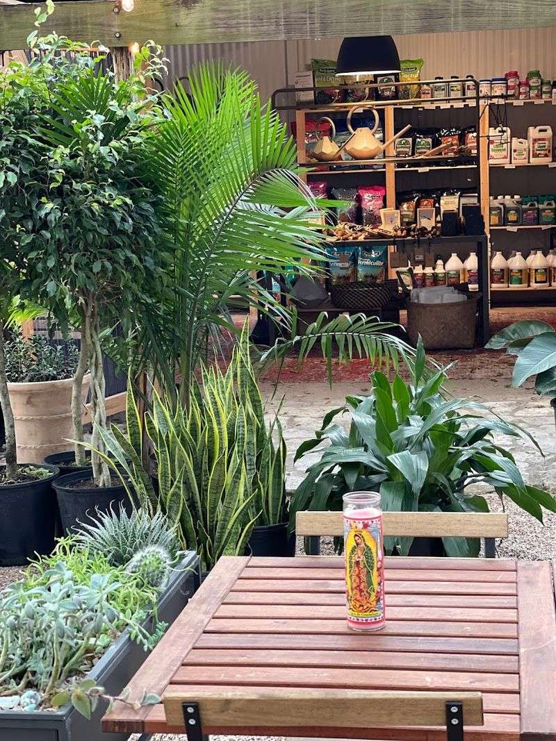 Browse Barton Springs Nursery In Austin Browse Barton Springs Nursery In Austin