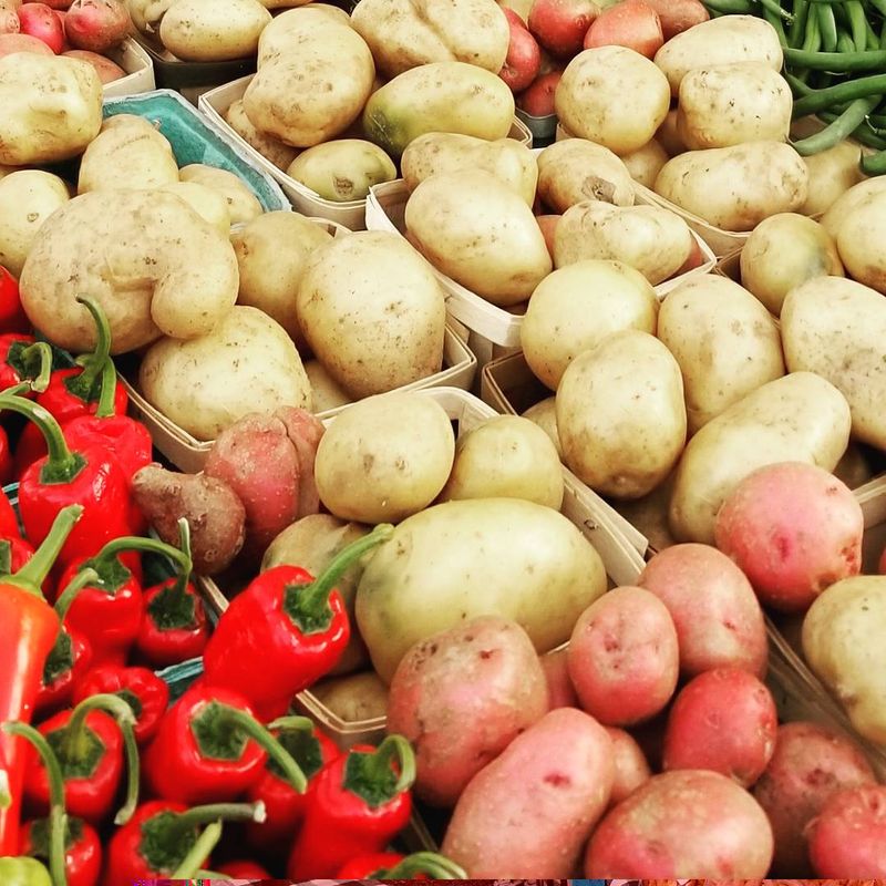 Browse North Union Farmers Market At Shaker Square Browse North Union Farmers Market At Shaker Square